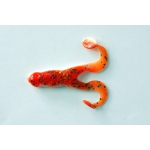 ŻABA TURBO 1" TF1-L130