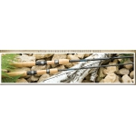 St.Croix AVID/AVS76MLXF