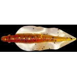 WINGSHAD 3" WS3-L121